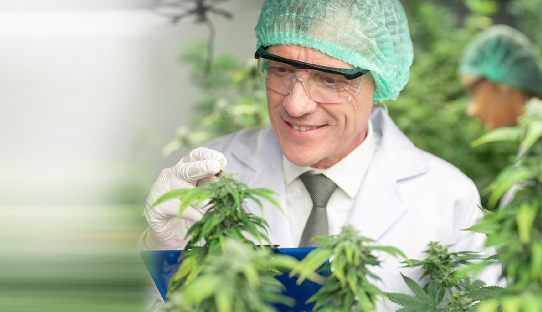 Heroes Without Capes – 2 Quality Leaders in Cannabis Industry Creating the ‘Quality-First’ Culture