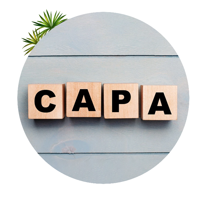 CAPA case study