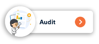 audit product