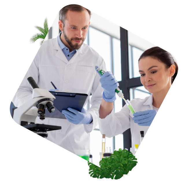QMS Pharma- und Biotechnologieindustrie