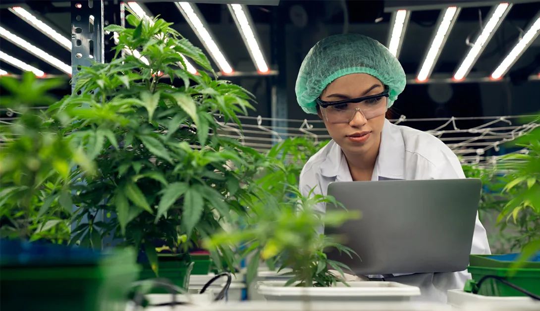 GMP Compliance Software for Cannabis Manufacturing: Complete Guide to Quality & Safety