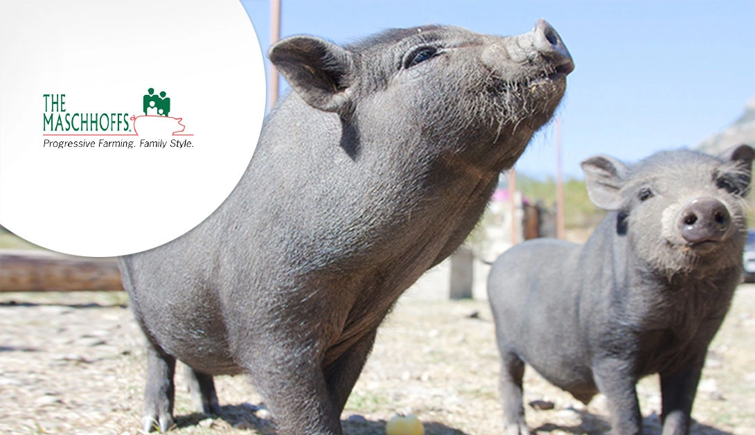 One of North America’s Largest Independent Pork Producers Gains 20/20 View Into Incident Management